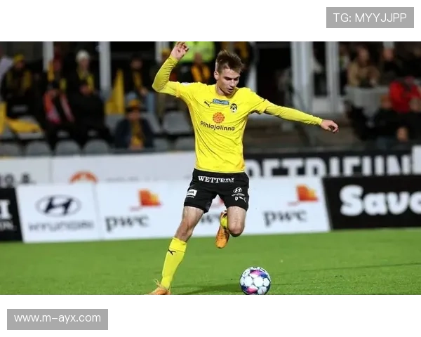 坦佩雷山猫主场迎战塞伊奈约基，力争胜利全力争冠